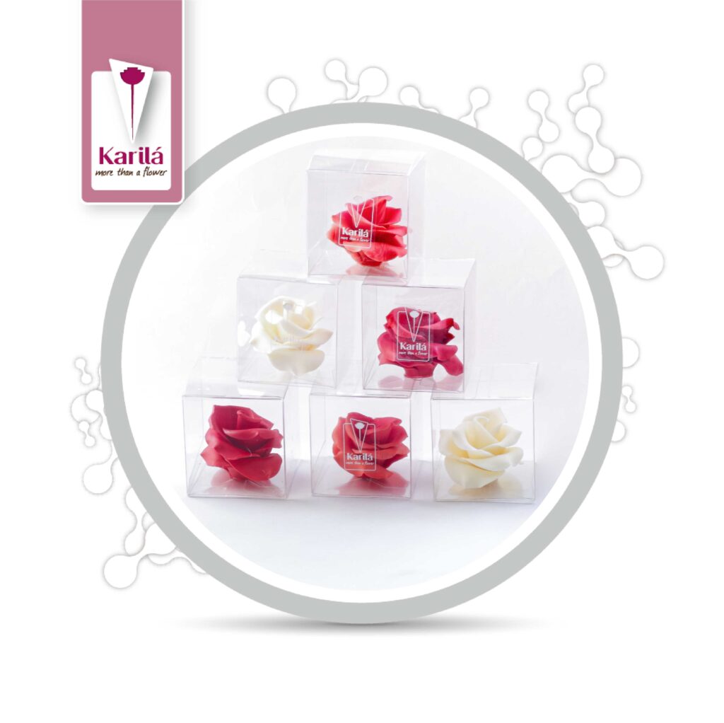 Chocolate Rose Gift Set - indi chocolate